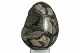 5.6" Septarian "Dragon Egg" Geode - Black Crystals - #202547-2